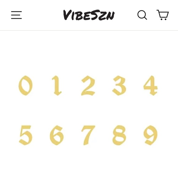 Vibeszn - Picture 5 of 5